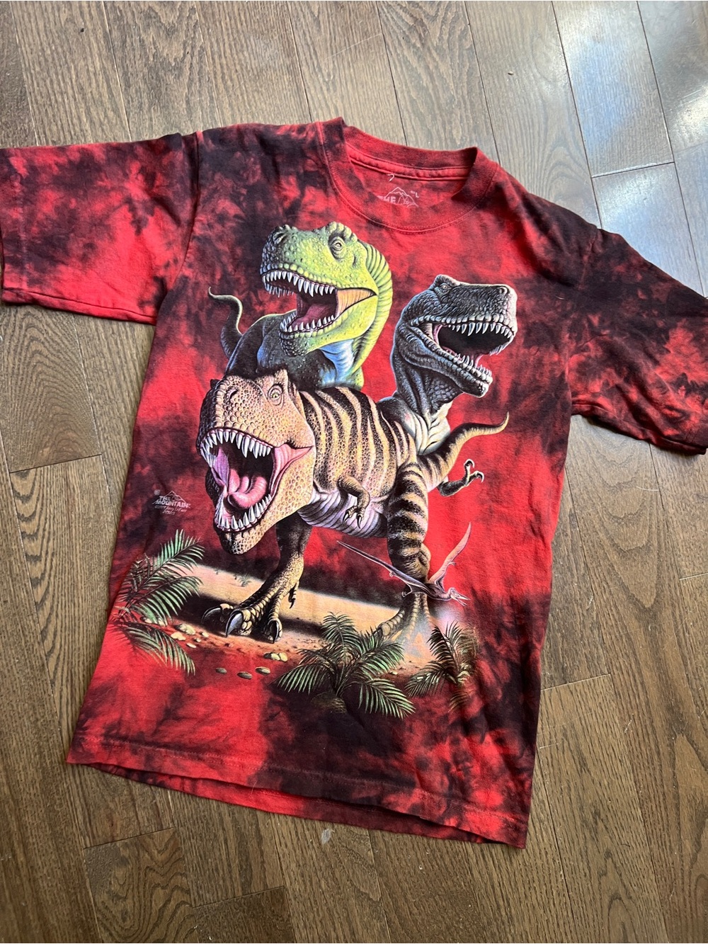 The Mountain 2013 Kids Red Dinosaur Graphic Tee size youth large